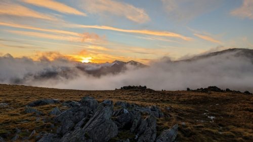 PXL_20231211_155237636